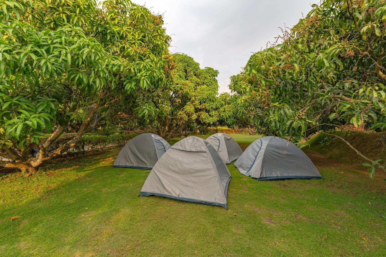 Q Mango Resort Rāmanagaram Buitenkant foto